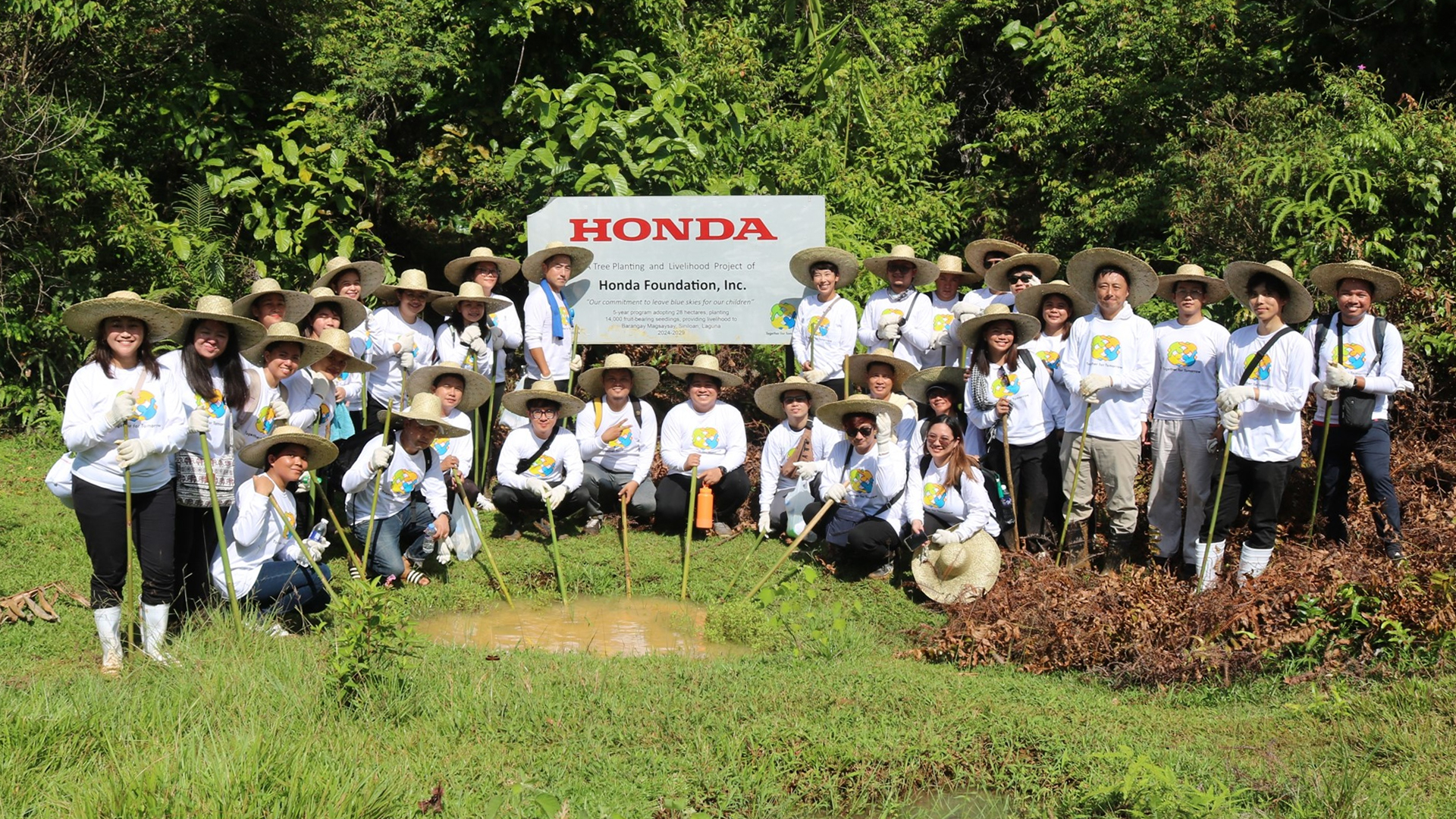 Tree planting 1920x1080 1